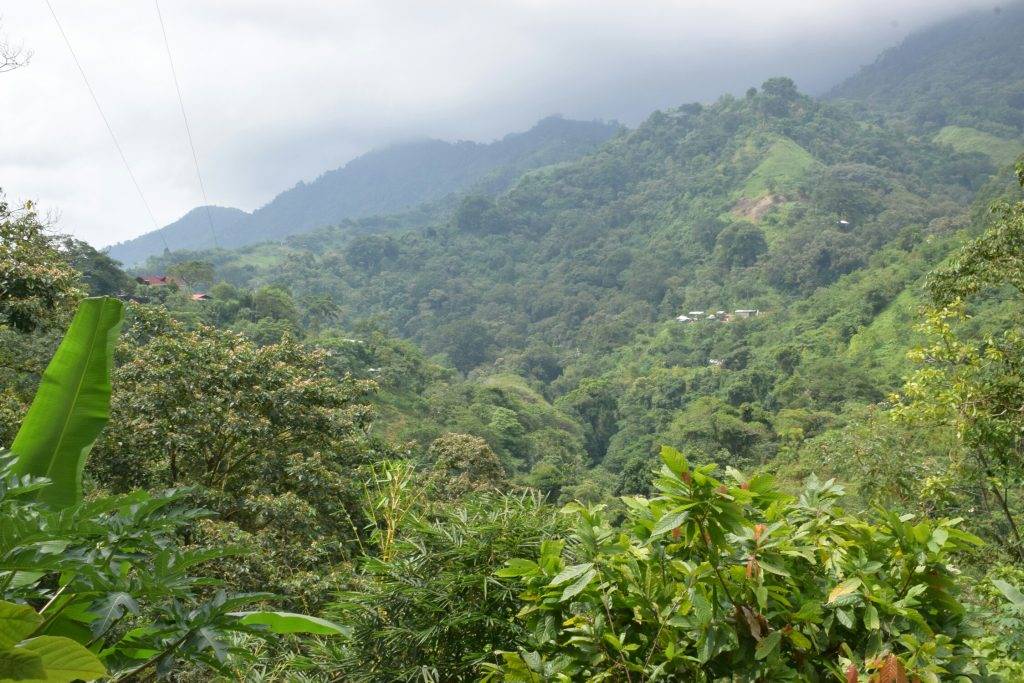 Pozo Azul Minca drive