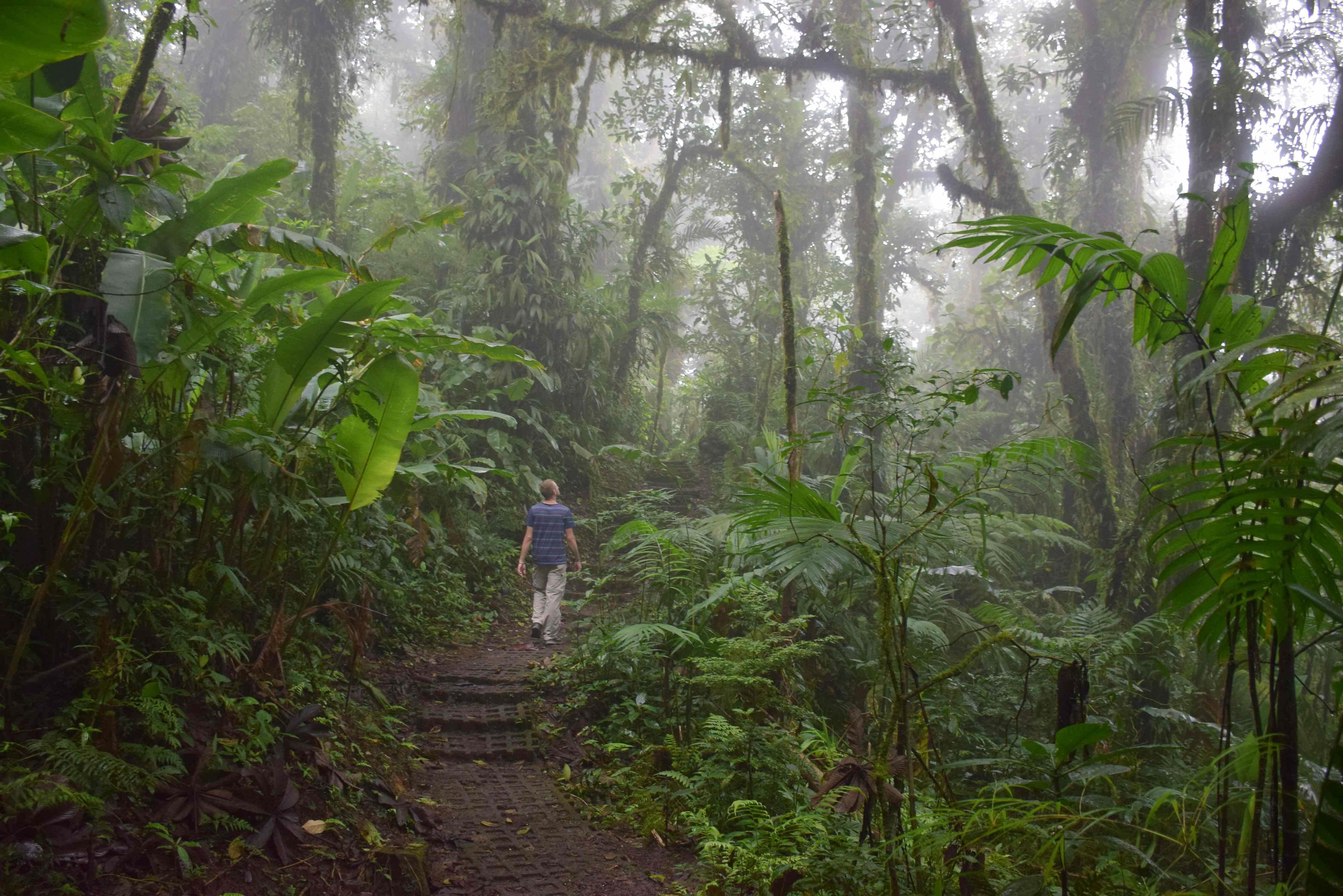 Things to do in Monteverde