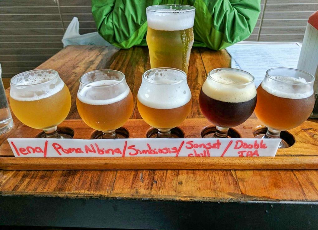 Drinking craft beer in Chile! 