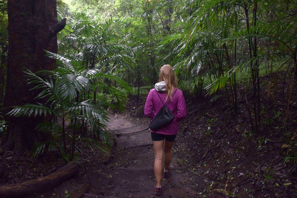 the first part of the Santa Ana Volcano hike