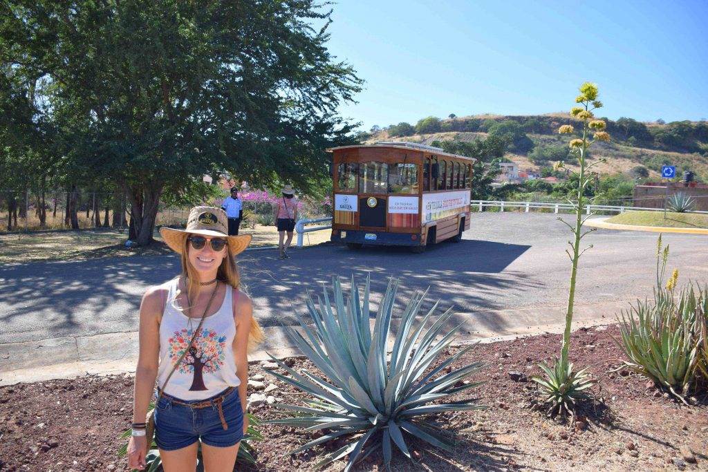 day trip from puerto vallarta to tequila