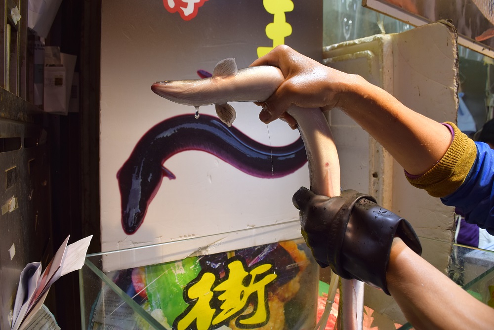 more food in hong kong