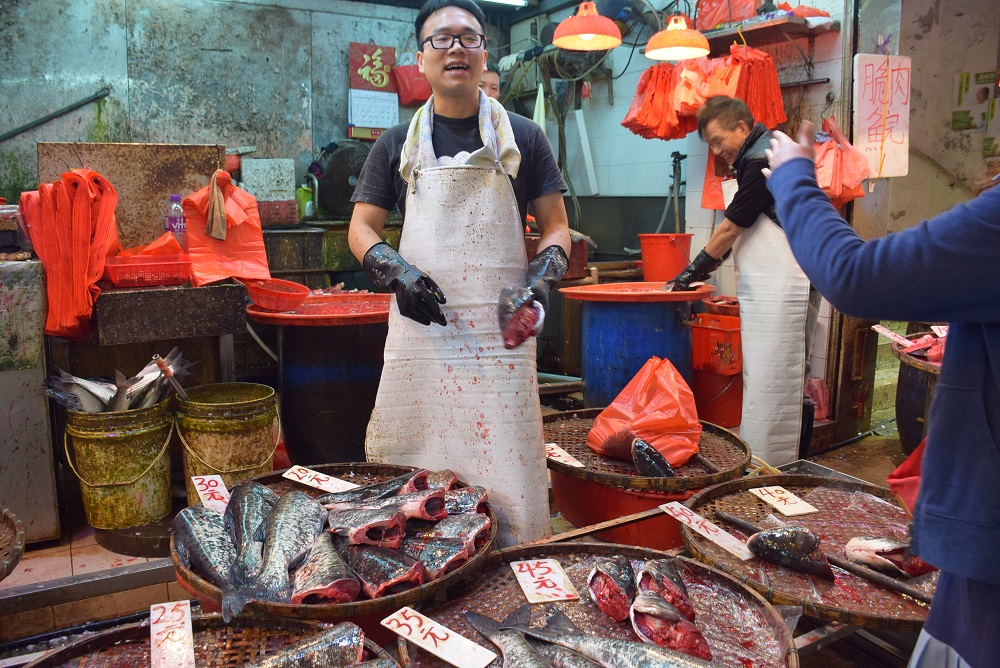 photos of the fish market in hong kong