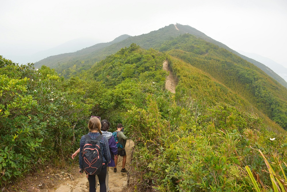photo on the Dragon's Back Trail