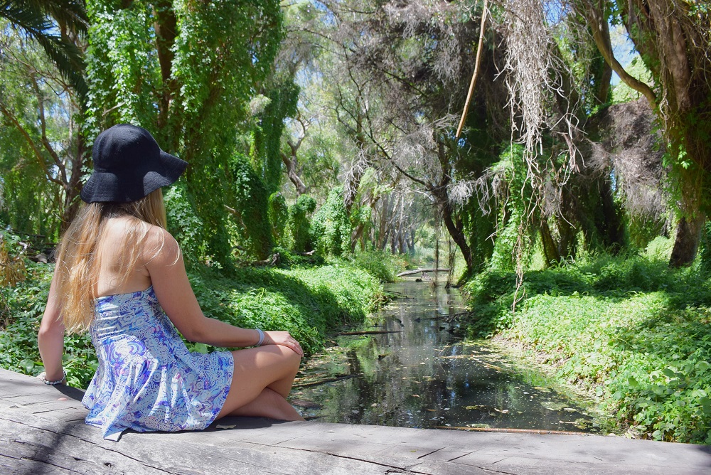 Amazing views at the secret Garden perth