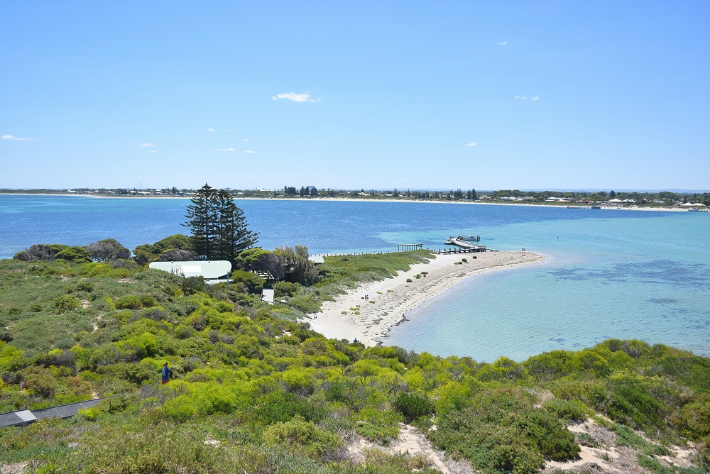 The lookout on Penguin Island Perth