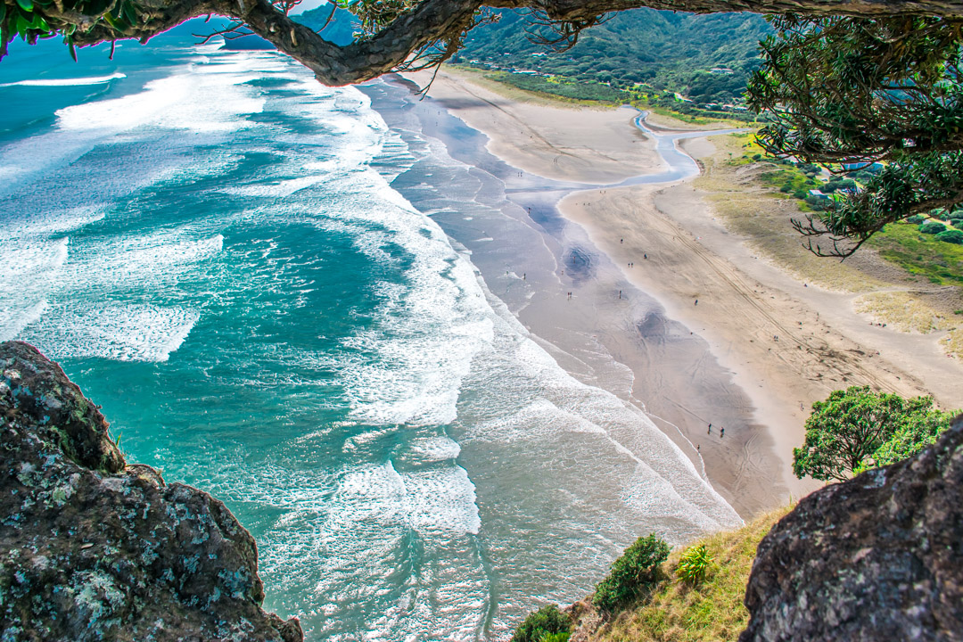 Piha Beach, Auckland as seen from Lion Rock!
