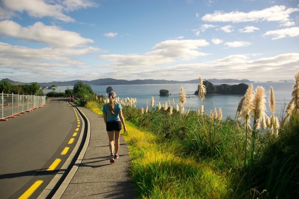 the walk to cathedral cove new zealand is gorgeous