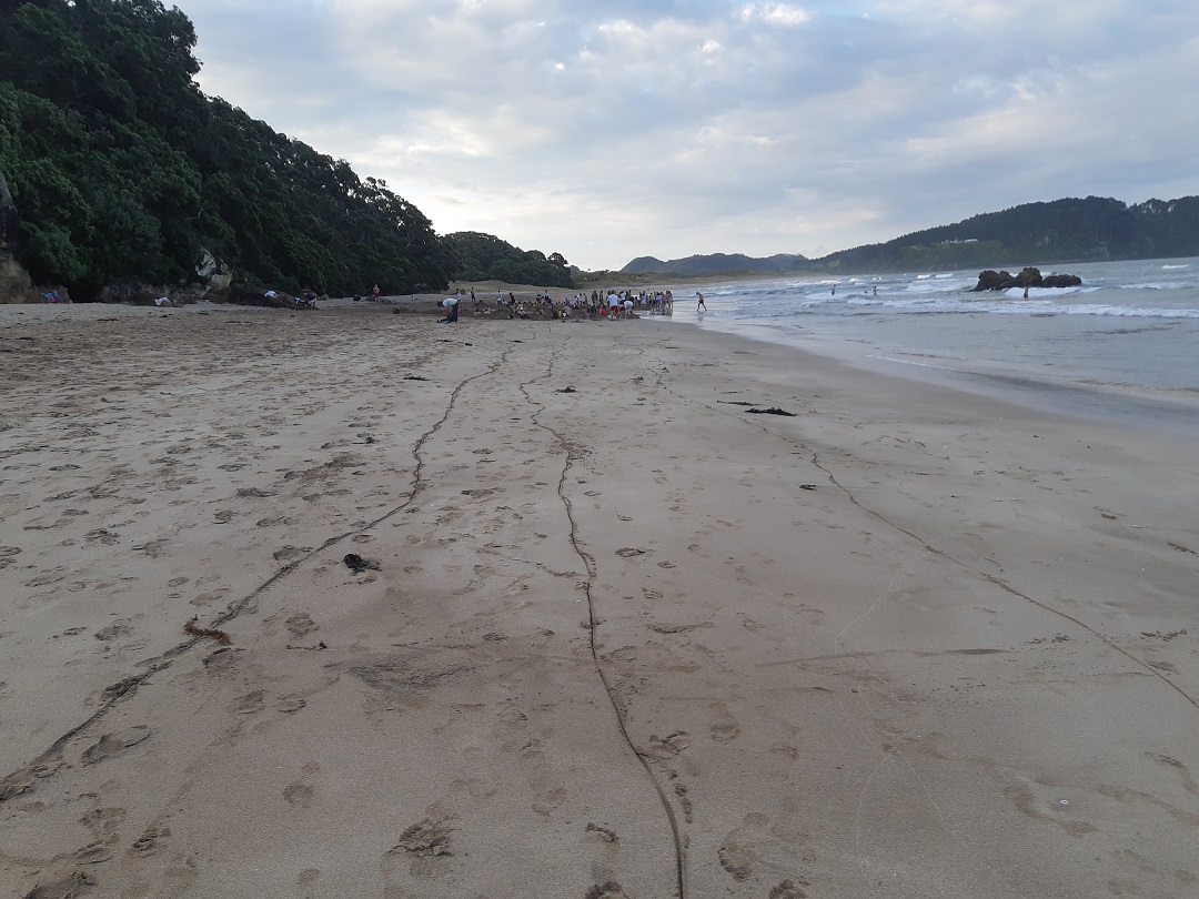 hot water beach crowd