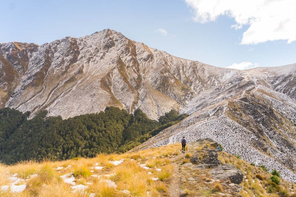 Views of the Ben Lomond summit from the trail
