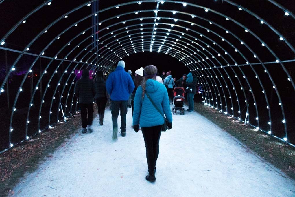 luma light tunnel light festival