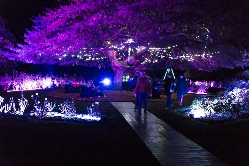 light festival in queenstown