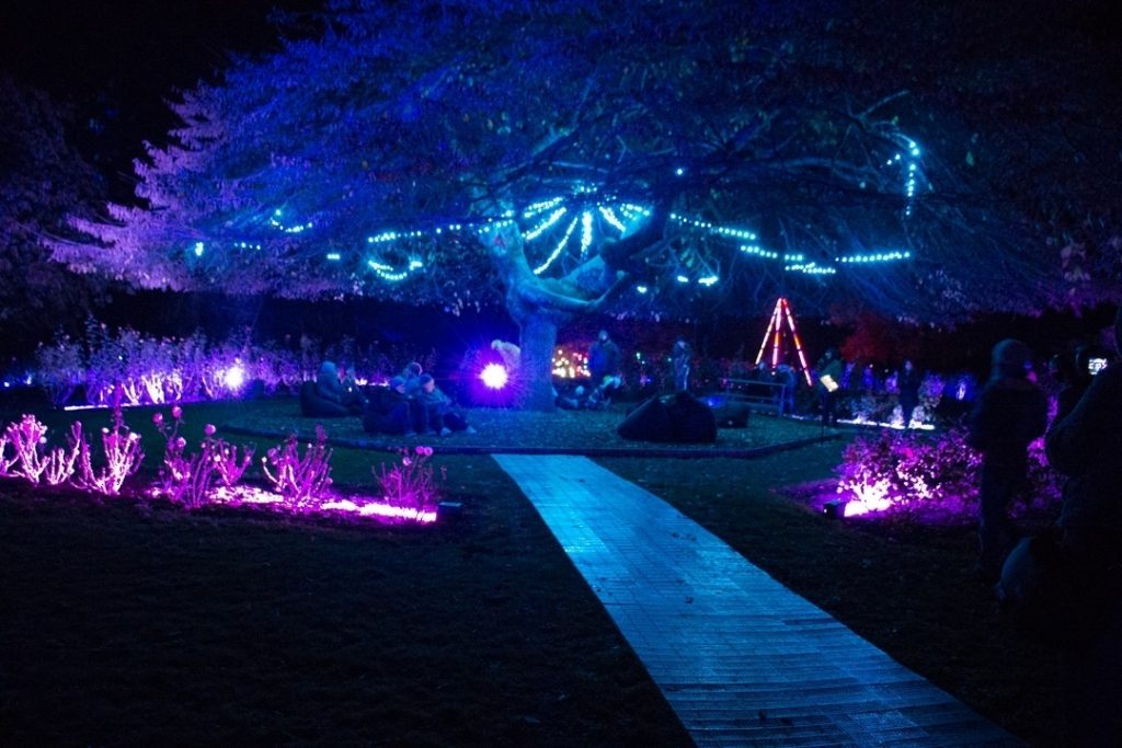 luma queenstown light festival