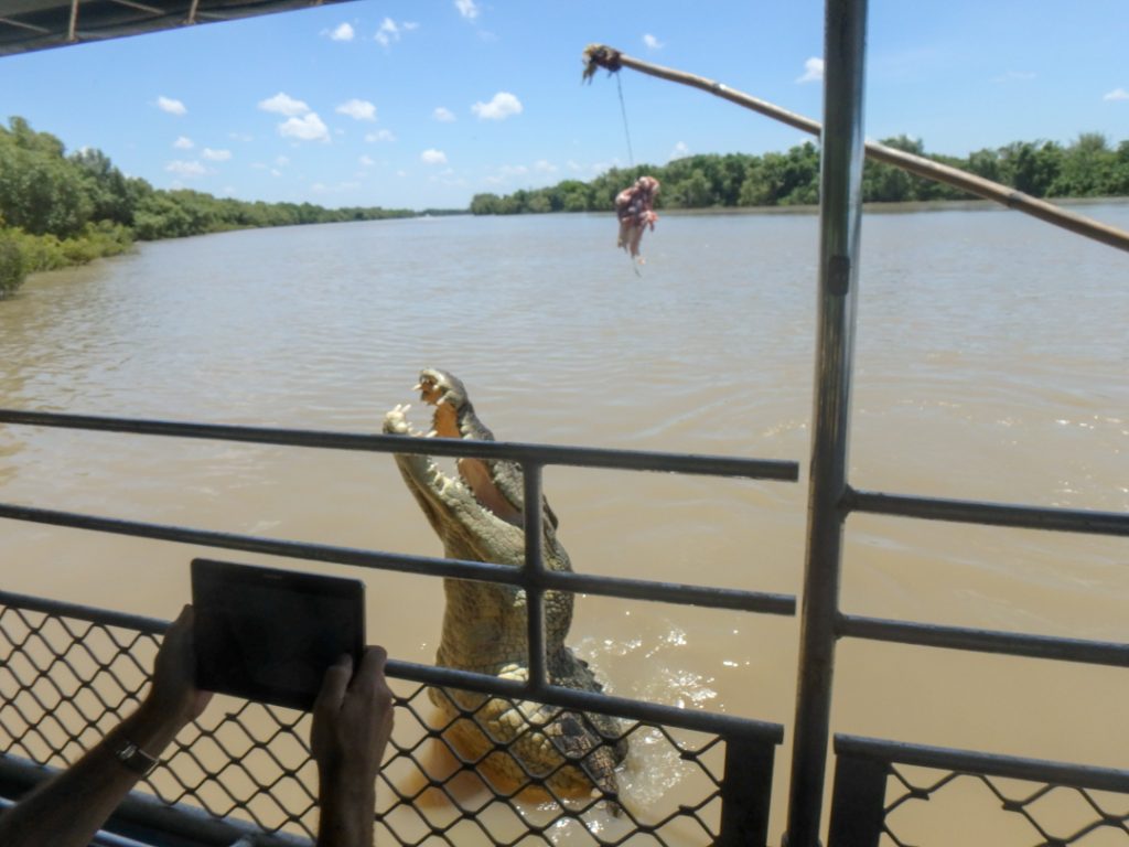 crocodile tours darwin