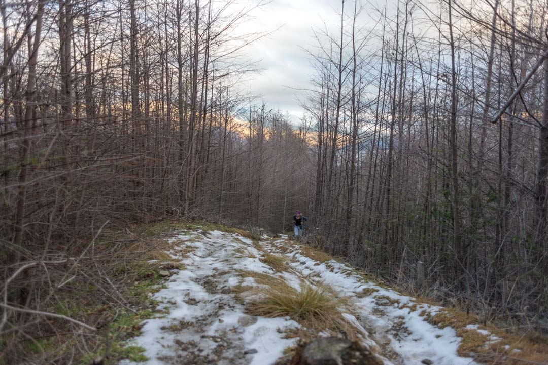 Bailey trying to catch up on the fernhill Loop Track