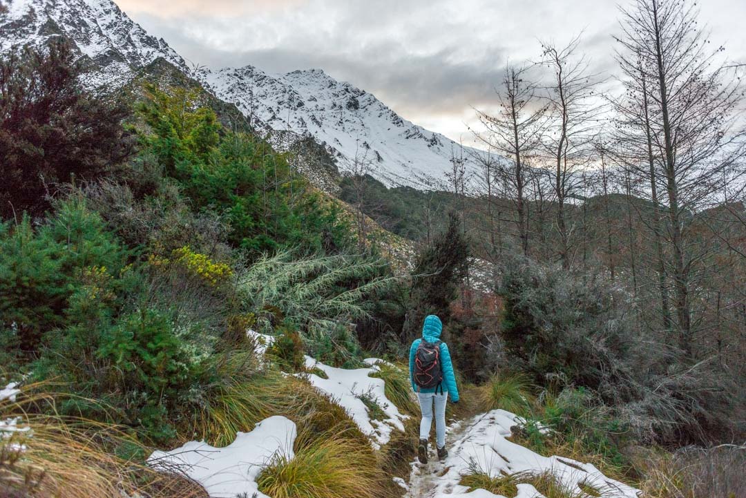 Bailey walking on the Fernhill Loop