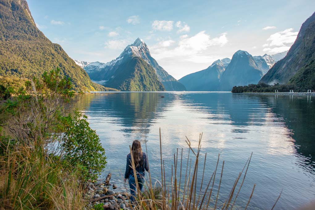 The views from the Milford Sound forrest walk
