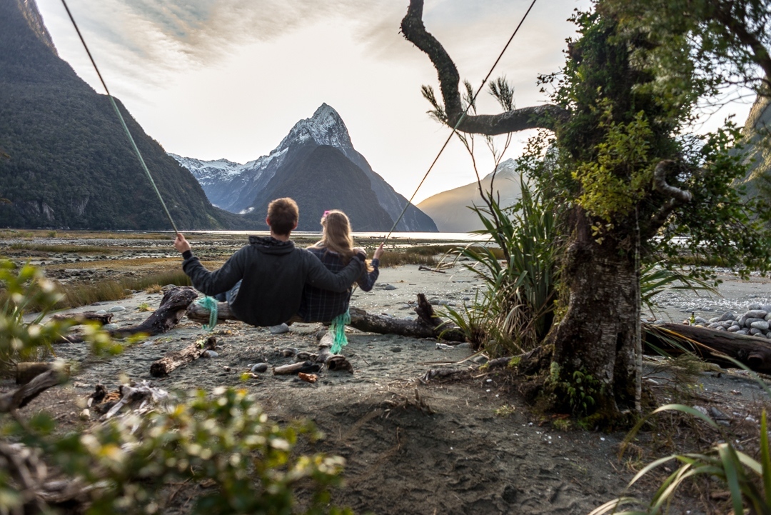 Milford Sound Swing