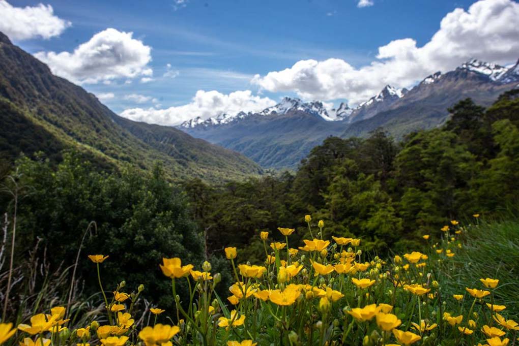 Pop's View lookout, New Zealand