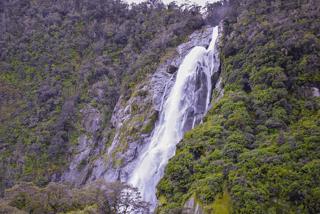 Bowen Falls in Milford Sound