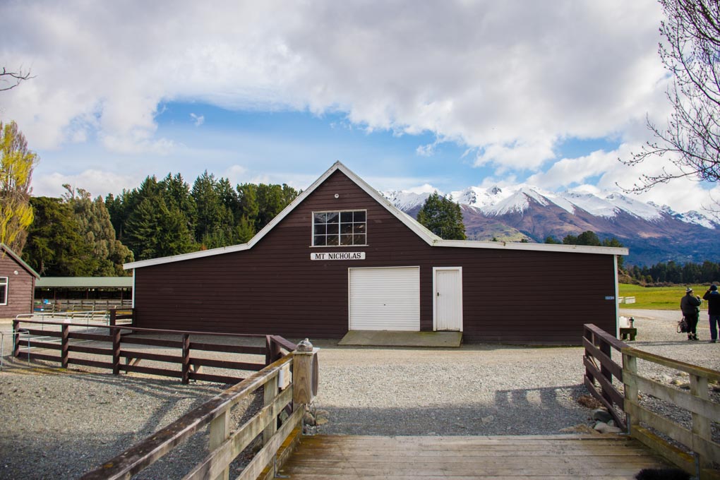 A shed at the Mt Nicholas Station