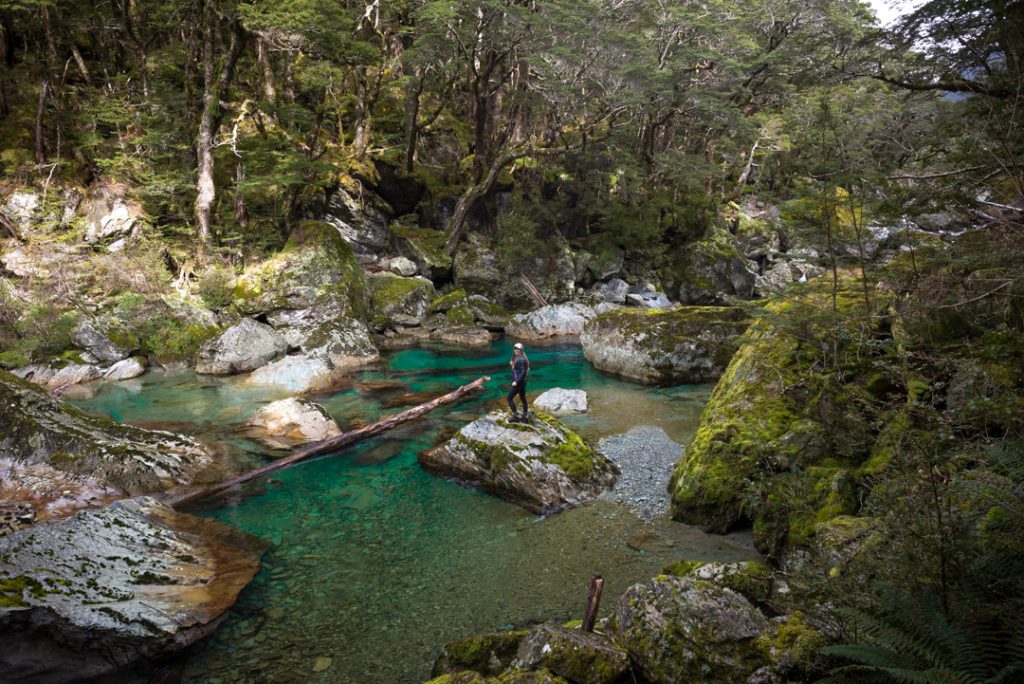 This is a photo of the Dart River along the Routeburn Track