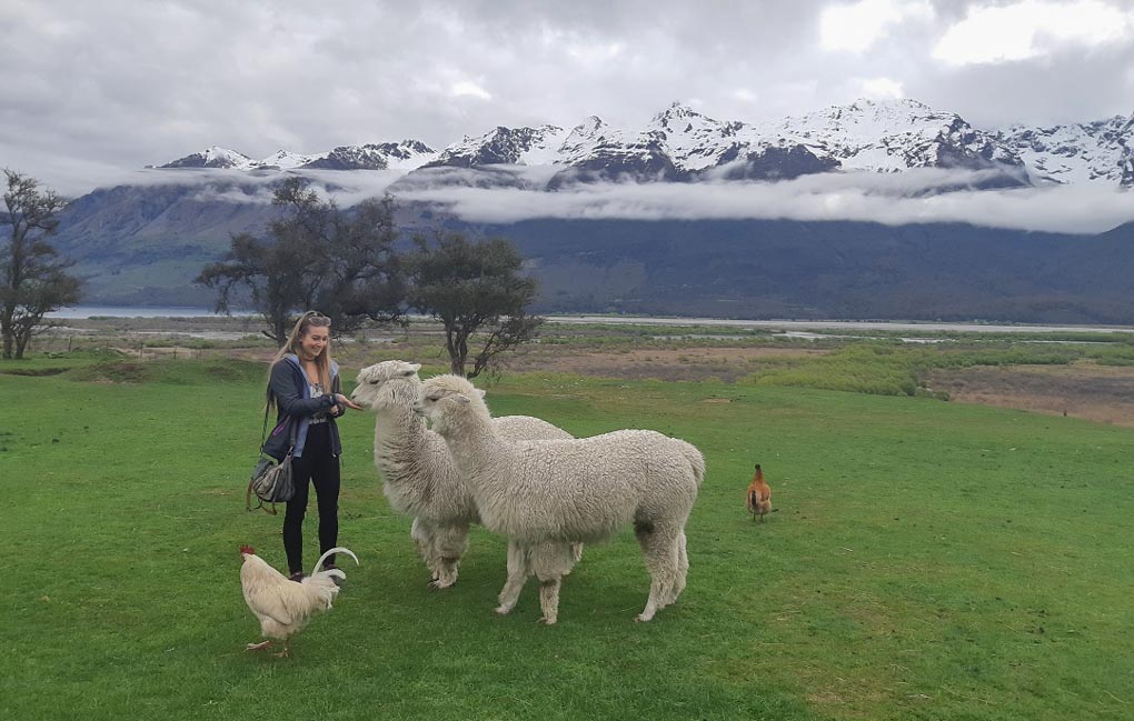 Feeding some of the friendly animals with a gorgeous view