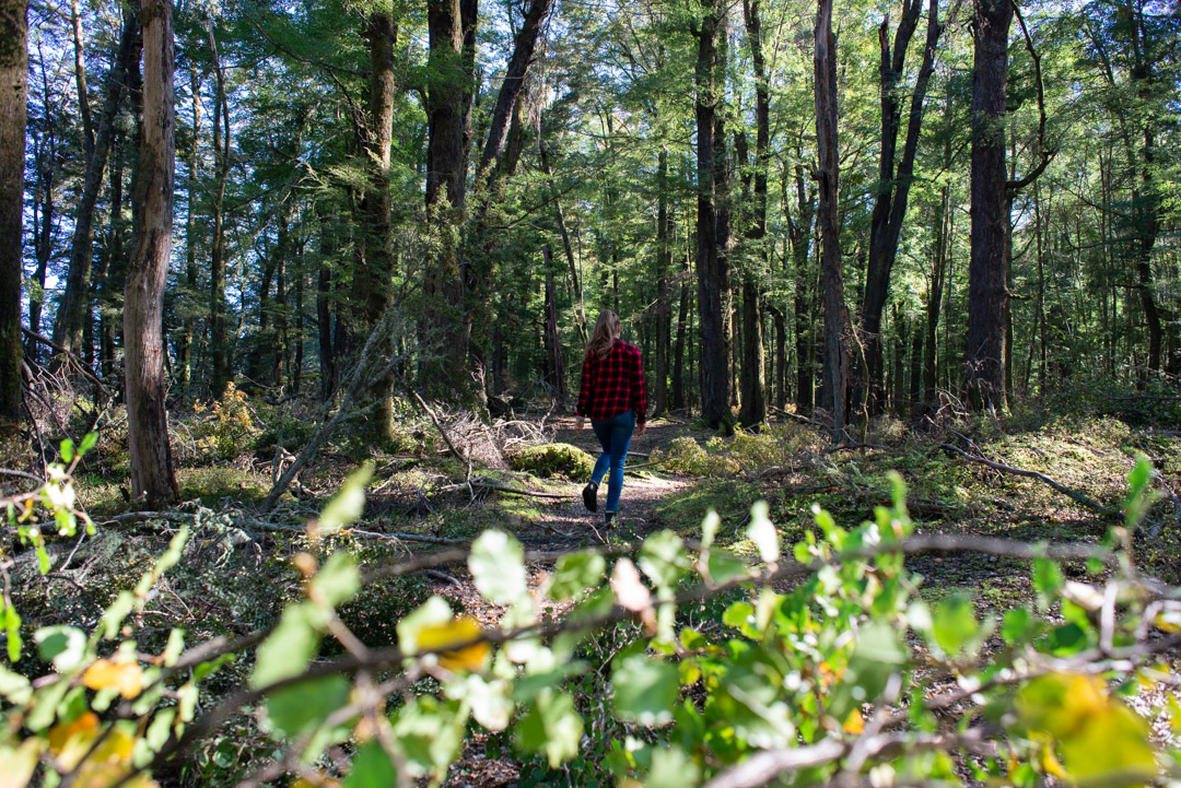 exploring Lothlorien on the glenorchy lord of the rings tour