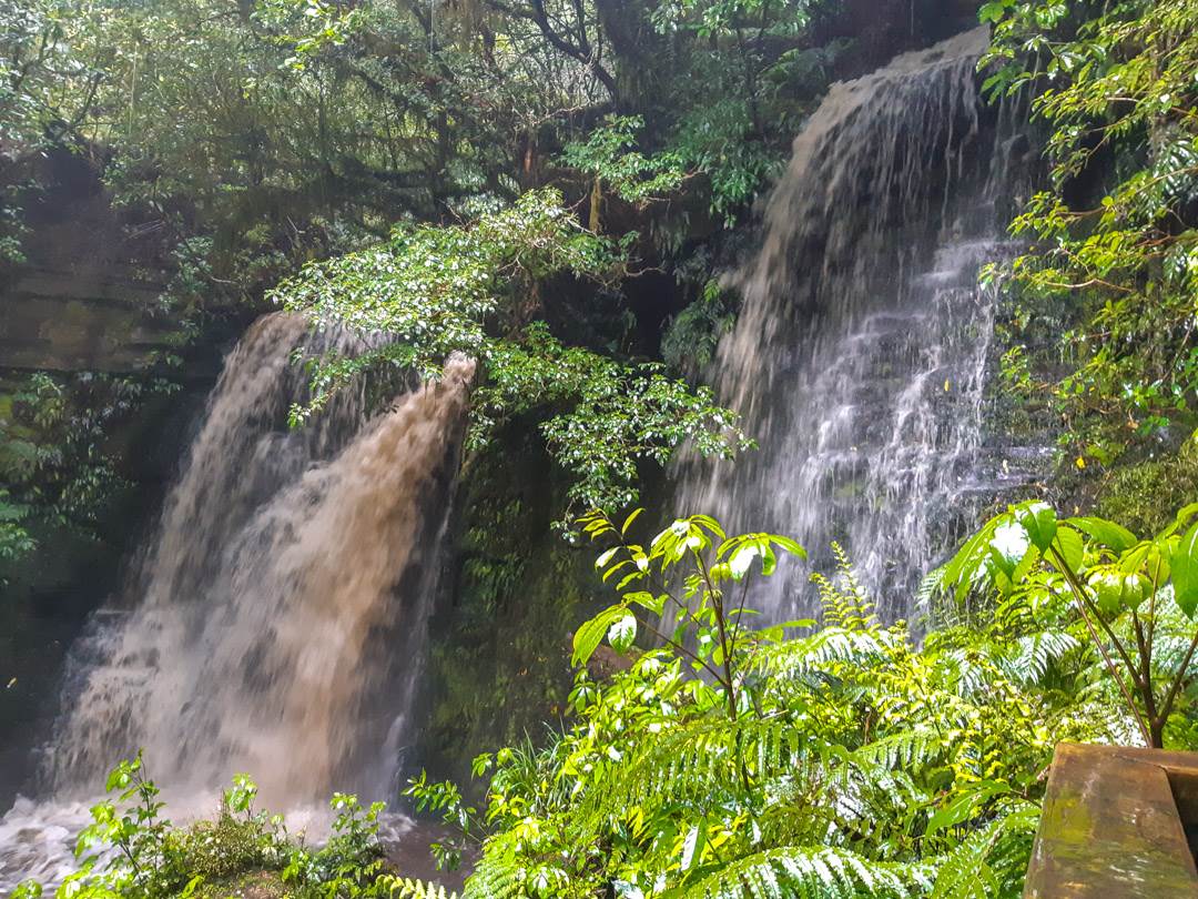 Horse shoe falls in the catlins
