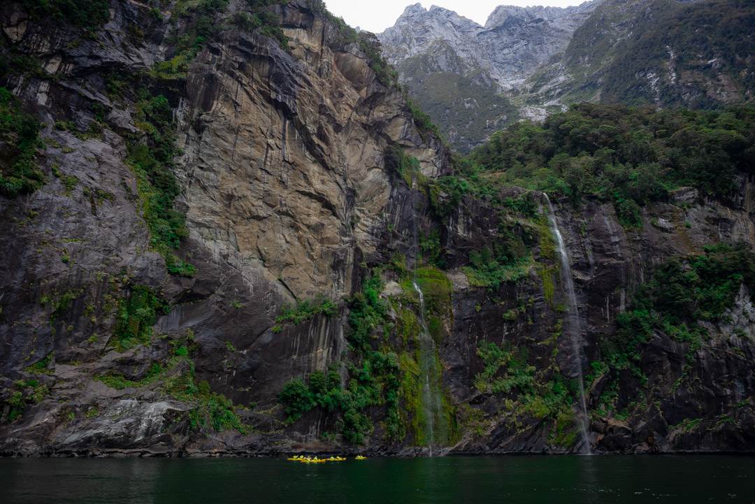 Full day kayaking tours in Milford Sound