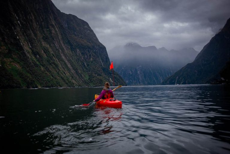 Everything You NEED to Know about Kayaking in Milford Sound