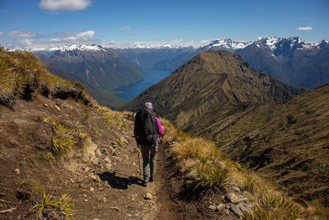The views on day two of the kepler track one of New Zealand's great walks