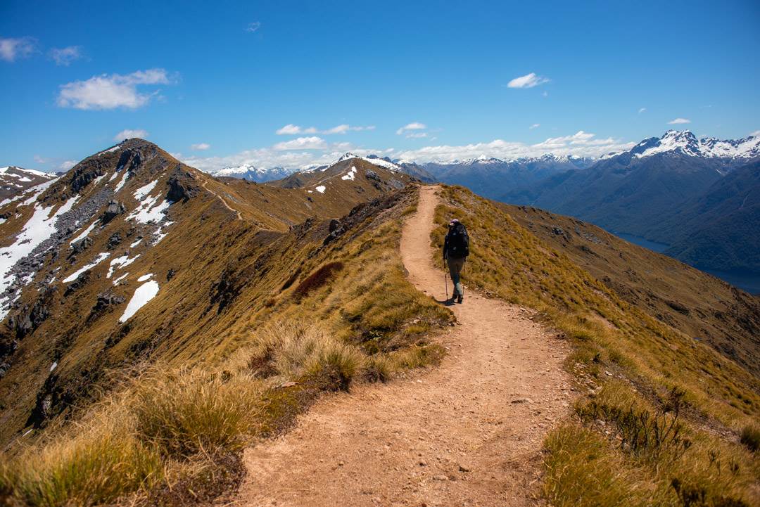 walking the ridge on day two of the kepler track