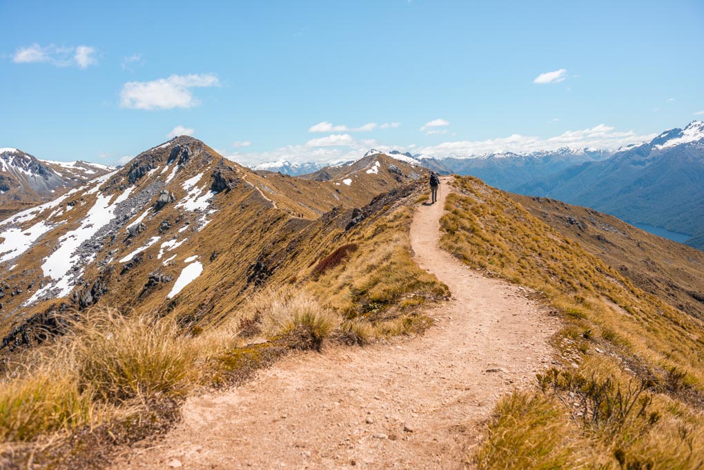 A photo of a lady walking on the ridge line of the kepler Track, New Zealand