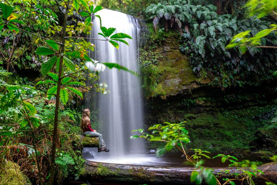 The catlins is a great stop on a new zealand road trip