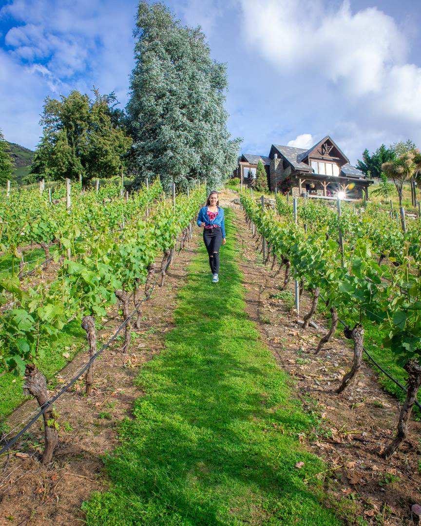 The best Queenstown wineries are located in the gibbston valley