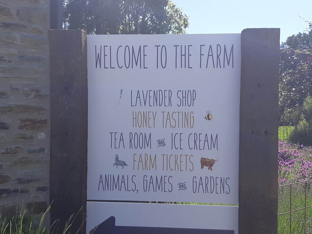 where is the wanaka lavender farm