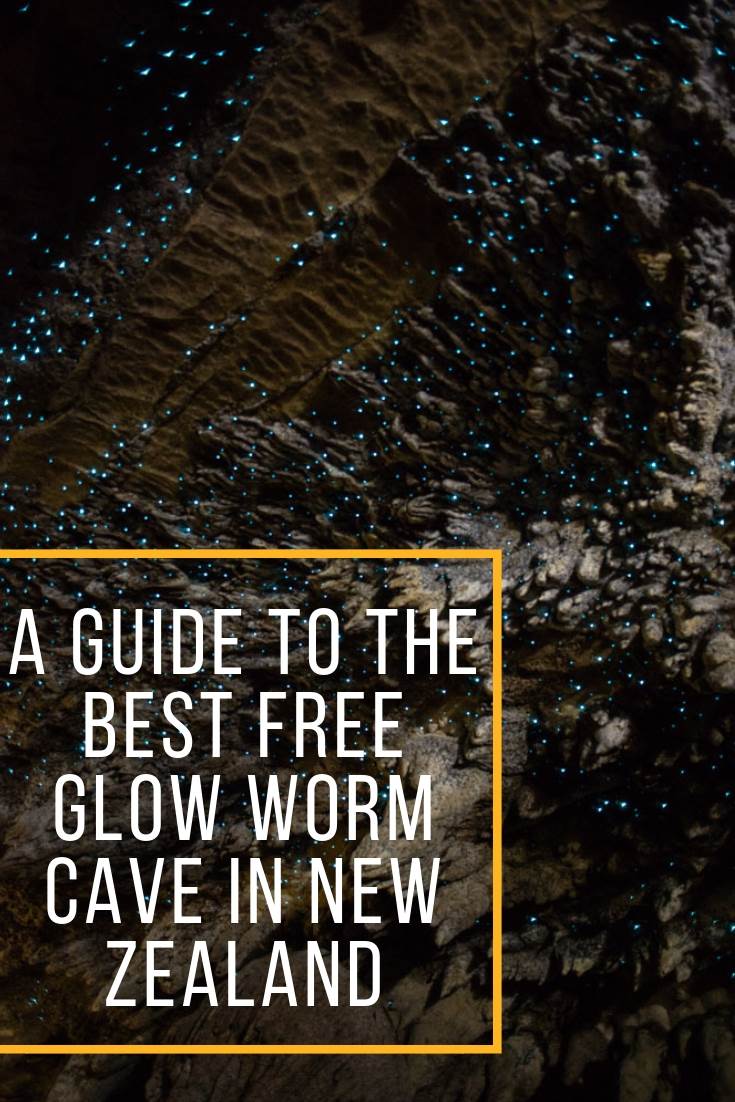 Best glow worm caves in new Zealand pin