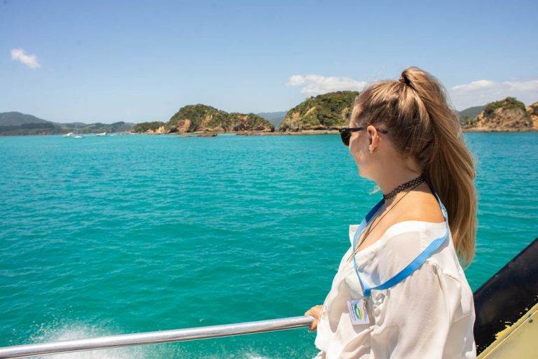 cruising around the bay of islands