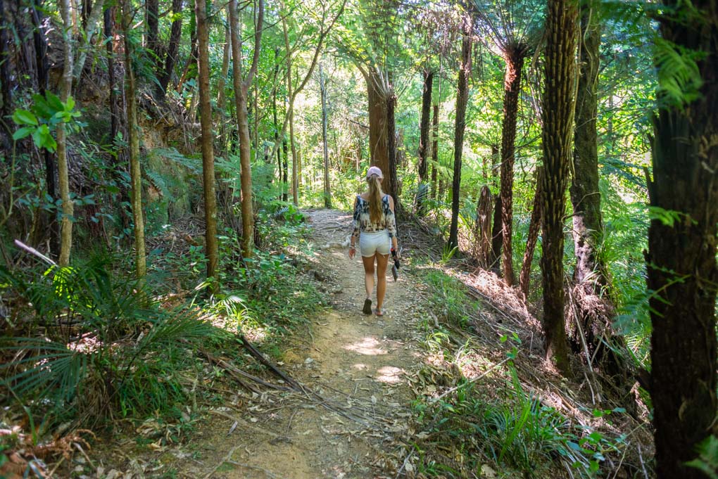 Bailey walks along the Waipu Caves Track