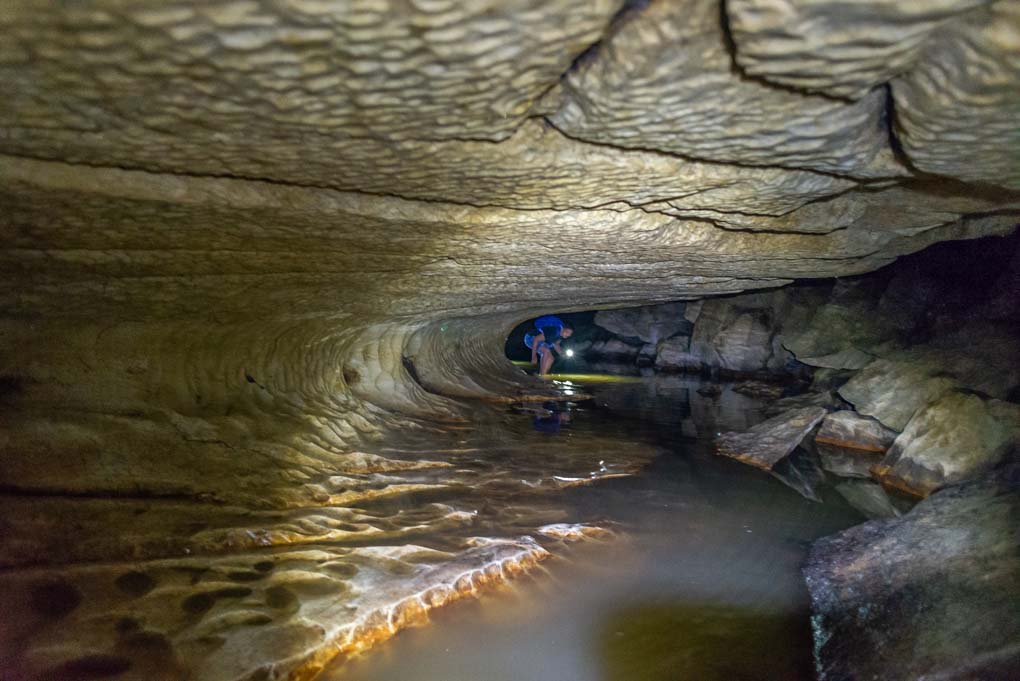 In the low section of the Waipu Caves, New Zealand