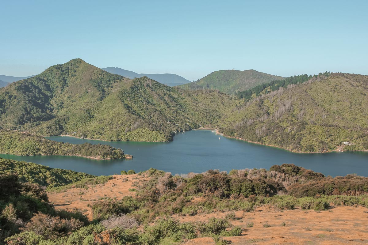 view of the Queen Charlotte Track from above