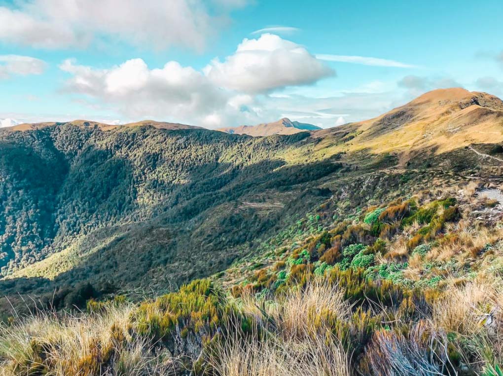 Paparoa Track, Punakaiki, New Zealand