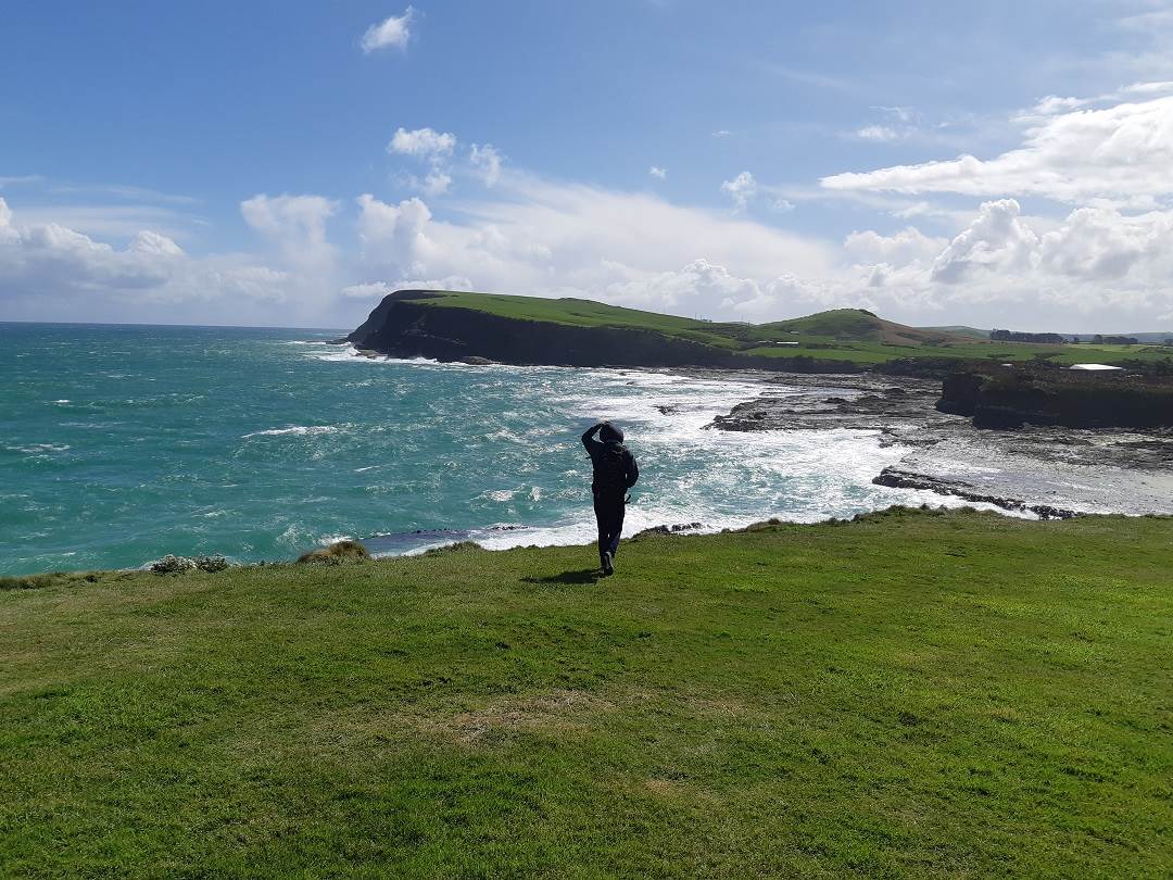 curio bay is one of the est south island destinations
