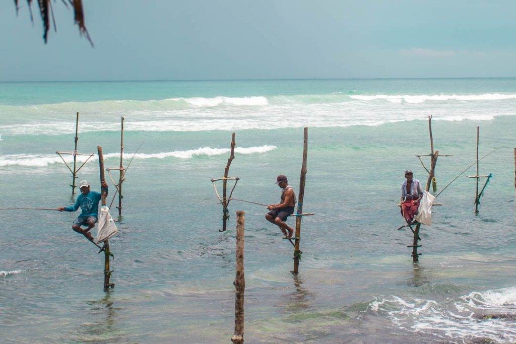 stilt fisherman in Sri Lanka