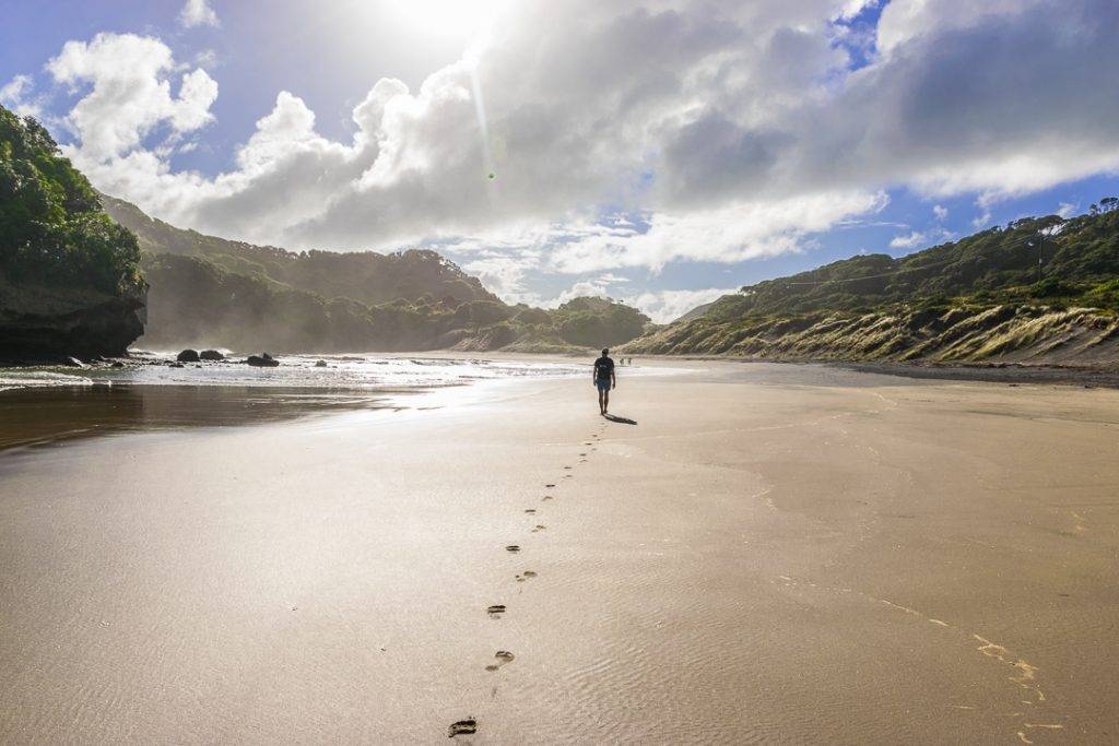 Bethells Beach, New Zealand, North Island