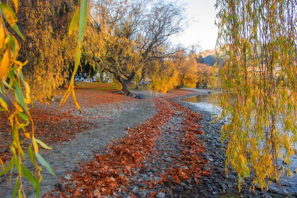 Autumn in Queenstown