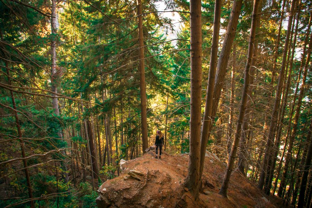 Tikki Trail to Ben lomond trail