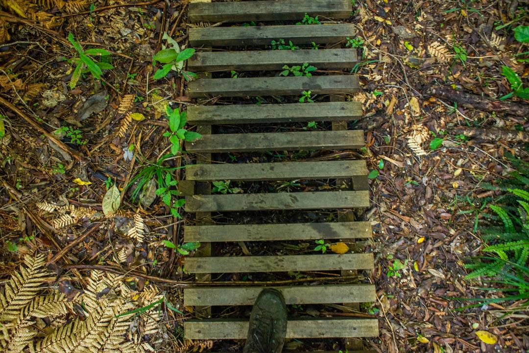 The boardwalk to the Pouakai Hut
