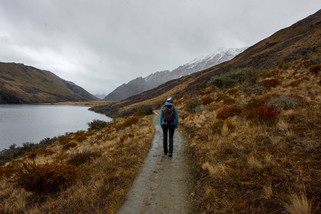 Walking the Moke Lake Loop Track